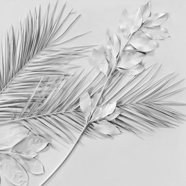 Tapet cu frunze argintii Tapet cu frunze argintii pe un fundal gri deschis