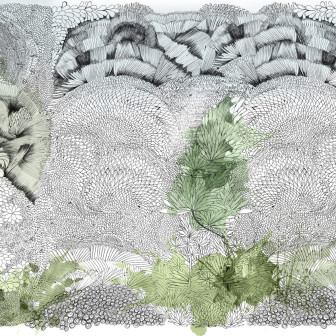 Tapet și Fototapet Glamora GLM-GLF81. Conține culorile: Verde, Verde Pastel, Verde, Verde Crom