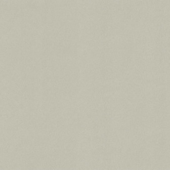 Tapet minimalist în nuanțe neutre, ideal pentru un interior elegant