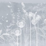 Fototapet Glamora GLM-GLF162. Conține culorile: Gri, Telegri 4