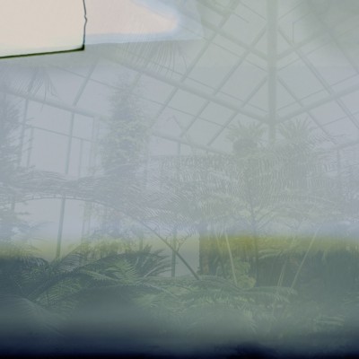 Tapet Greenhouse, Variant 1, cu design unic, reprezentând o seră cu o atmosferă relaxantă și luminoasă. Tonurile de verde și albastru creează o senzație de liniște și armonie, perfectă pentru a crea o atmosferă primitoare în orice cameră.