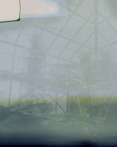 Tapet Greenhouse, Variant 1, cu design unic, reprezentând o seră cu o atmosferă relaxantă și luminoasă. Tonurile de verde și albastru creează o senzație de liniște și armonie, perfectă pentru a crea o atmosferă primitoare în orice cameră.