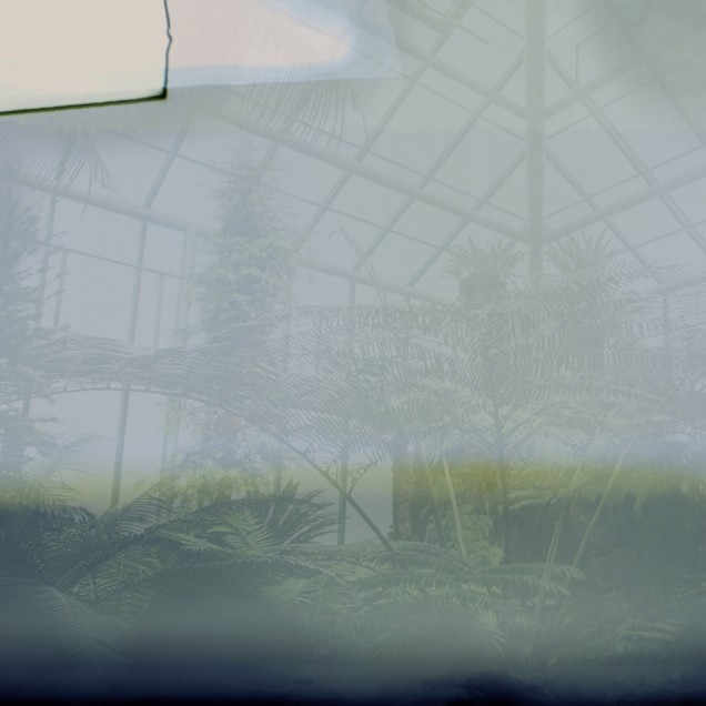 Tapet Greenhouse, Variant 1, cu design unic, reprezentând o seră cu o atmosferă relaxantă și luminoasă. Tonurile de verde și albastru creează o senzație de liniște și armonie, perfectă pentru a crea o atmosferă primitoare în orice cameră.