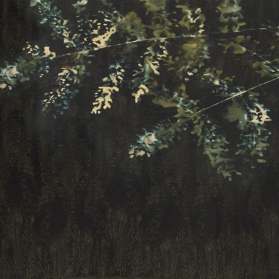 Tapet cu design abstract de cer cu nuanțe delicate de verde și galben pe fond negru, potrivit pentru living, dormitor, hol sau birou.