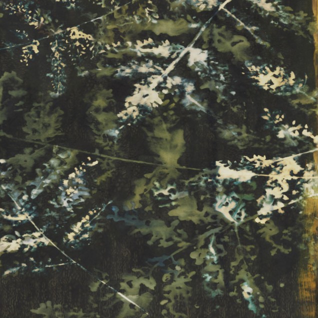 Tapet cu design abstract de cer cu nuanțe delicate de verde și galben pe fond negru, potrivit pentru living, dormitor, hol sau birou.