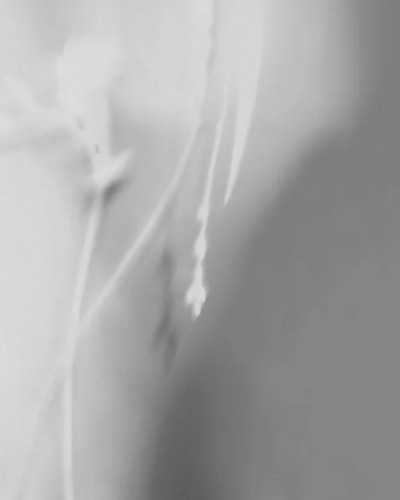 Tapet abstract Memoire Variant 2 cu linii fine și elegante, în nuanțe subtile de alb și gri.