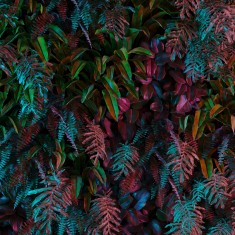 Fototapet Neon Tropical Jungle 3D, dintr-o bucată, GrandCanvas