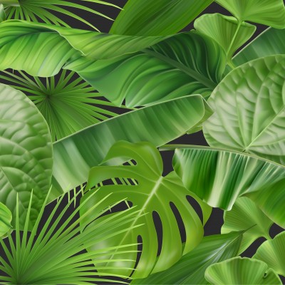 Fototapet Realistic Jungle Foliage 3D, dintr-o bucată, GrandCanvas,  