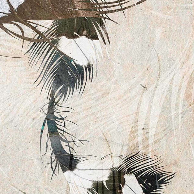 Tapet mural modern Butterfly Effect, Idea Murale cu o siluetă feminină misterioasă pe fond de pene de păun.