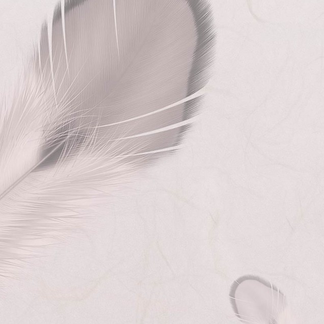 Tapet dormitor contemporan cu design abstract de pene delicate, în nuanțe de gri