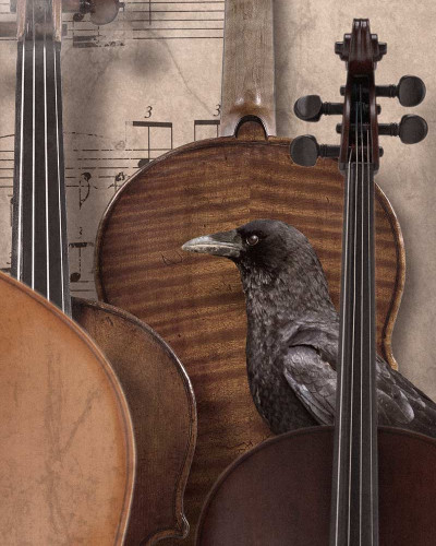 Contemporary Prelude mural wallpaper featuring a vintage music sheet with a collage of string instruments.