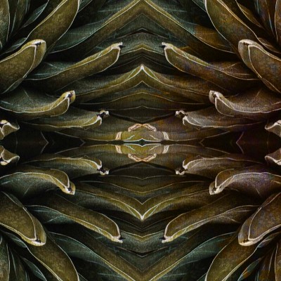 Tapet contemporan Jungle Secrets, cu design abstract de frunze verzi și o cheie misterioasă.