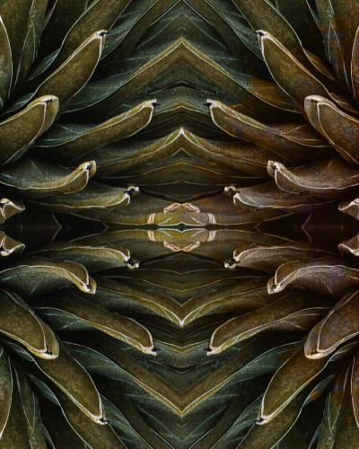 Tapet contemporan Jungle Secrets, cu design abstract de frunze verzi și o cheie misterioasă.