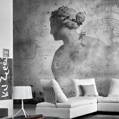 Tapet mural contemporan Fortuna, cu o imagine a unei femei elegante în profil, perfect pentru a adăuga un plus de rafinament oricărui spațiu.