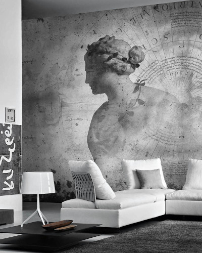 Tapet mural contemporan Fortuna, cu o imagine a unei femei elegante în profil, perfect pentru a adăuga un plus de rafinament oricărui spațiu.