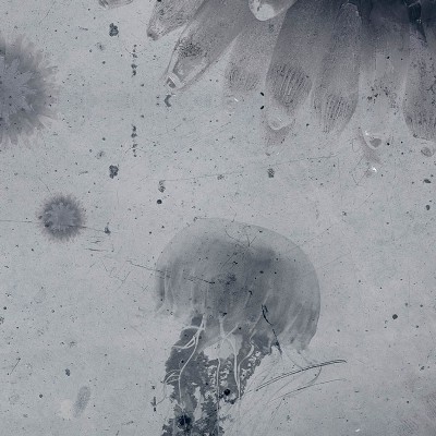 Tapet contemporan cu meduze elegante, “Aquatic Space”