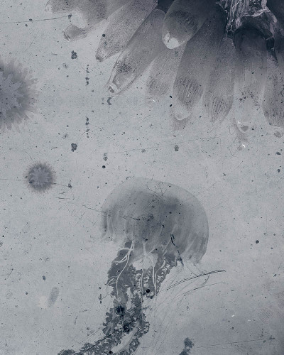 Tapet contemporan cu meduze elegante, “Aquatic Space”