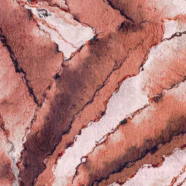 Wallpaper contemporan cu design abstract inspirat din motive tropicale.