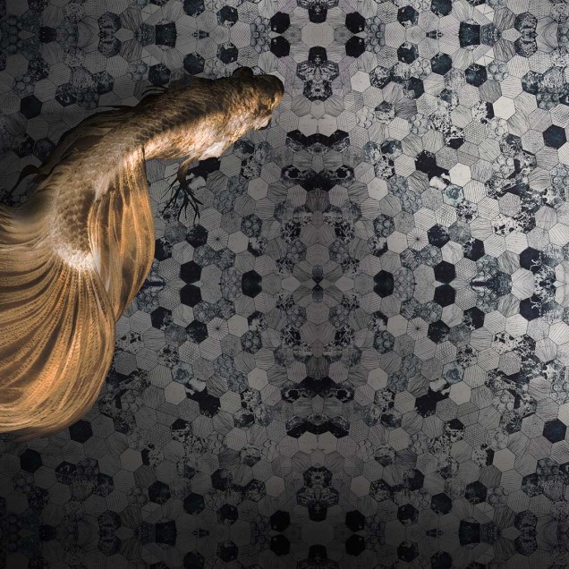 Tapet contemporan cu design unic cu un peste auriu si textura hexagonala gri.