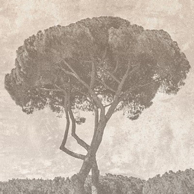 Wallpaper La Hacienda cu o imagine a unei case mediteraneene inconjurate de arbori