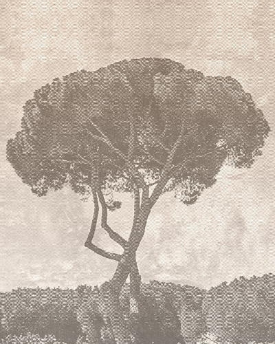 Wallpaper La Hacienda cu o imagine a unei case mediteraneene inconjurate de arbori