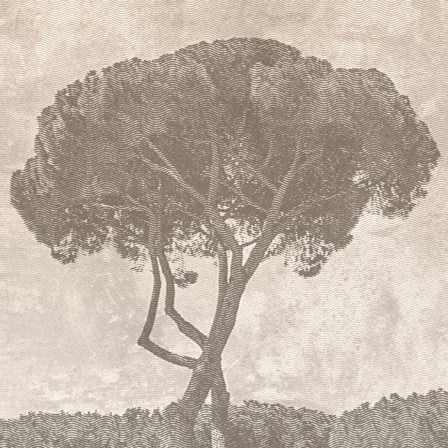 Wallpaper La Hacienda cu o imagine a unei case mediteraneene inconjurate de arbori