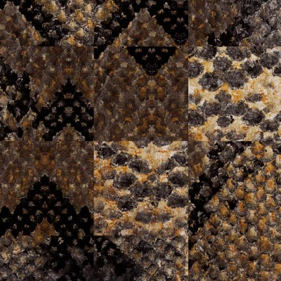 Tapet modern Python Lounge, cu model minimalist și elegant, perfect pentru a crea un spațiu unic și personalizat.