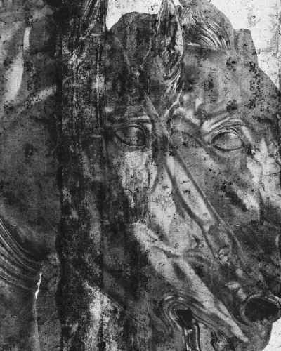 Tapet mural cu cai sălbatici, design contemporan