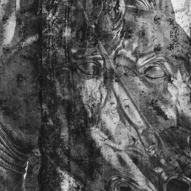Tapet mural cu cai sălbatici, design contemporan