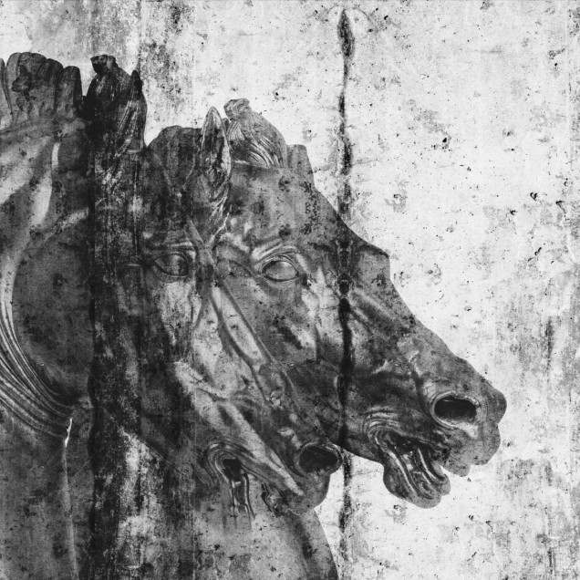 Tapet mural cu cai sălbatici, design contemporan