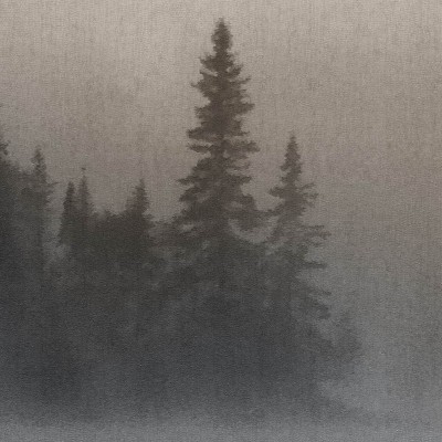 Imagine cu un dormitor cu un pat tapetat cu un model contemporan cu pădure pe malul apei