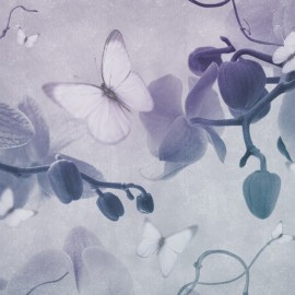 Fototapet contemporan Orchidee incantevoli, personalizat, Idea Murale