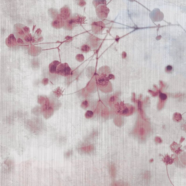 Wallpaper modern Bloom in Pink, cu flori roz și gri, ideal pentru dormitoare și livinguri.