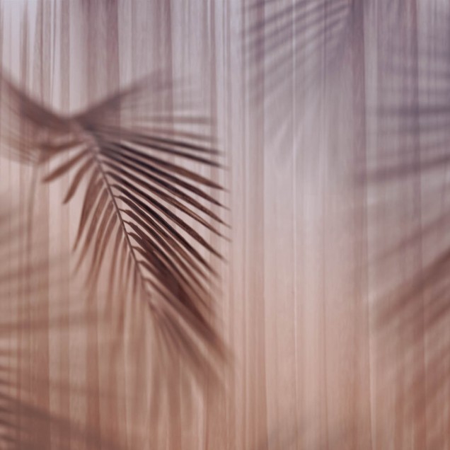 Tapet contemporan cu design minimalist Oblivion, ce prezintă umbre delicate de frunze de palmier pe un fundal texturat