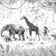 Animal Parade - Black and White, Kikki Belle