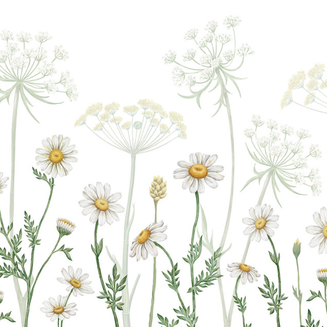 Wallpaper cu margarete albe și flori galbene, perfect pentru dormitor sau living
