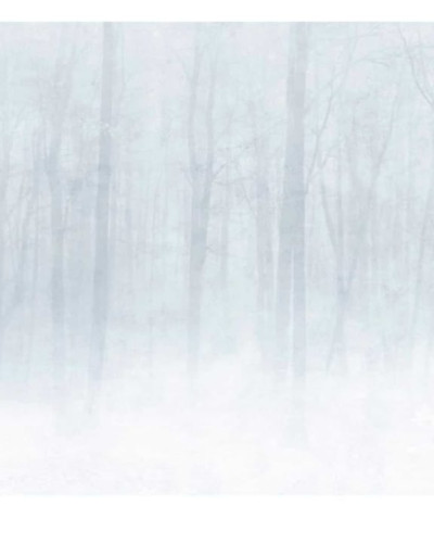 Tapet lavabil Vinterskog Grey cu un design minimalist, cu accente naturale, perfect pentru cei care caută o atmosferă calmă și elegantă.