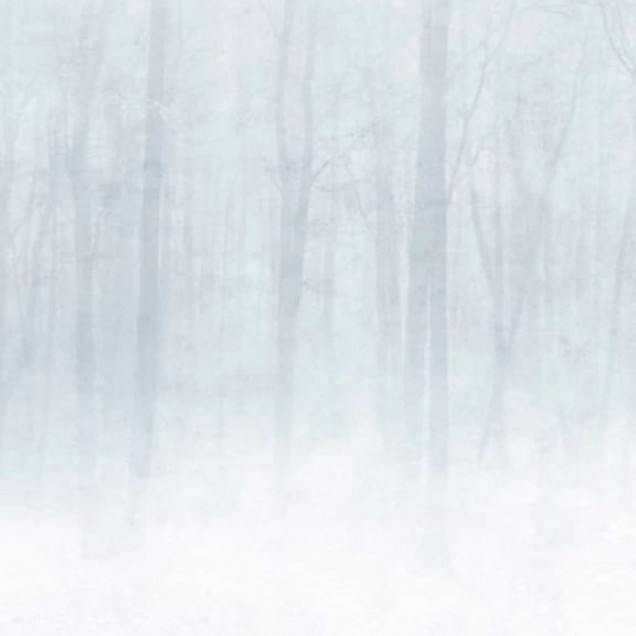 Tapet lavabil Vinterskog Grey cu un design minimalist, cu accente naturale, perfect pentru cei care caută o atmosferă calmă și elegantă.