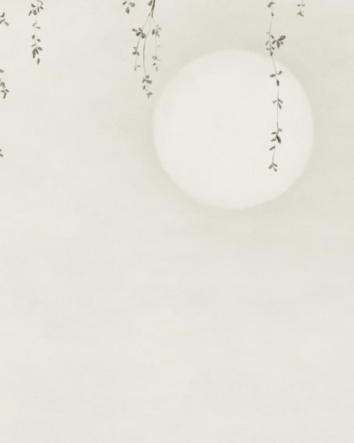 Tapet lavabil Wabi Sabi Light Grey, cu un design minimalist inspirat de natura, cu ramuri delicate si frunze delicate.