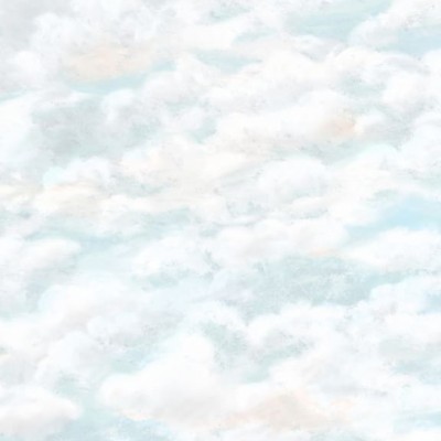 Tapet lavabil Himmel Light Blue cu design de nori, perfect pentru dormitoare, sufragerii sau birouri.