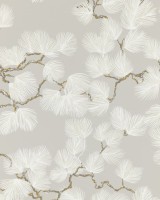 Pine Grey, Sandberg, 5.3mp / rola