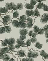 Pine Green, Sandberg, 5.3mp / rola