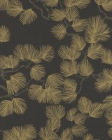 Pine Black, Sandberg, 5.3mp / rola