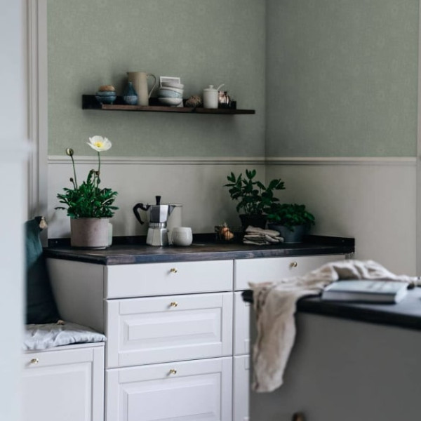 Anton, Forest Green, Sandberg, 5.3mp / rola