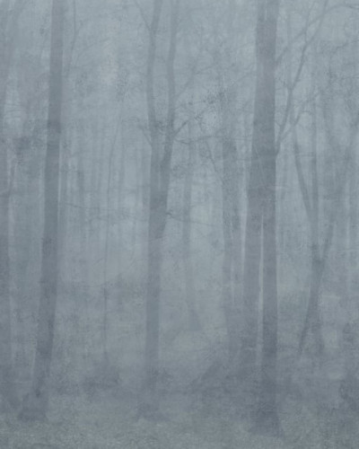 Tapet Skog Misty Blue, cu un design minimalist, inspirat de natură. Textură fină, nuanță elegantă de albastru gri.