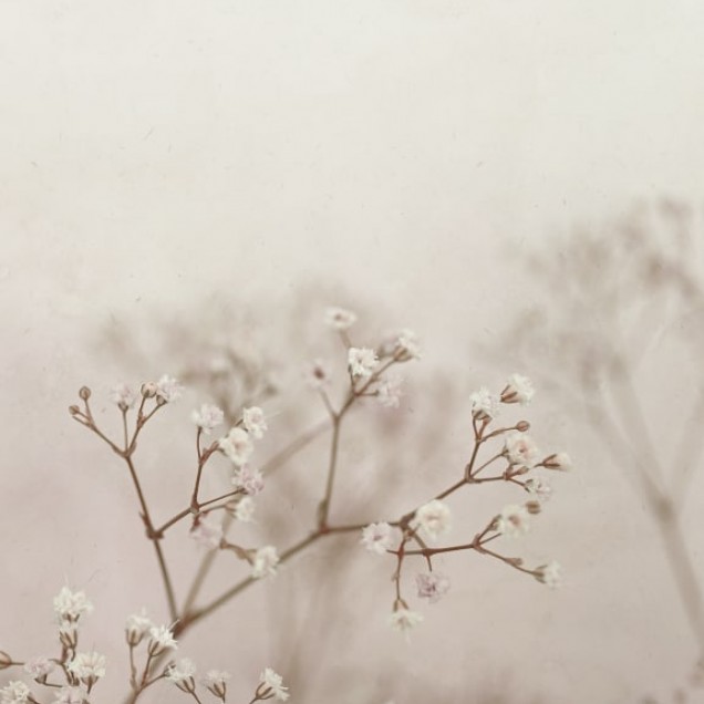 Tapet lavabil cu design floral delicat, in nuante pale si delicate, perfect pentru living, dormitor sau hol.