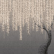 Exclusive Wallpaper / Willow (14078-01), Londonart