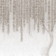 Exclusive Wallpaper / Willow (14078-03), Londonart