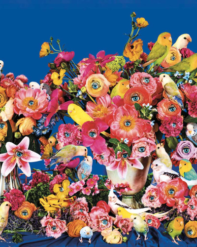 Tapet floral Bird Watching cu pasari si ochi in locul petalelor.