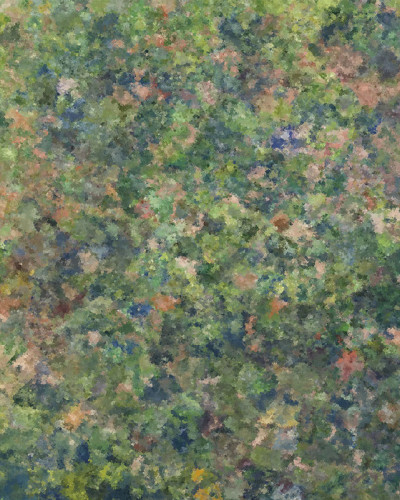 Exclusive Wallpaper / Re-Impress Flowers (24048-03), Londonart
